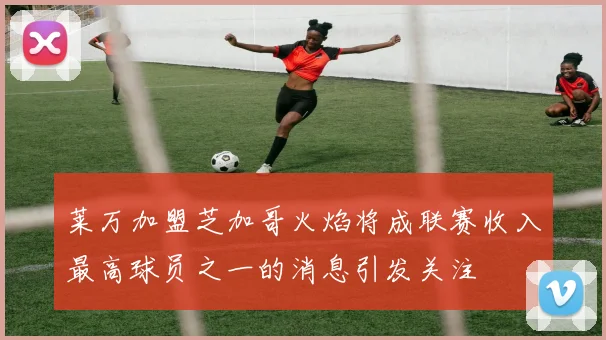 莱万加盟芝加哥火焰将成联赛收入最高球员之一的消息引发关注