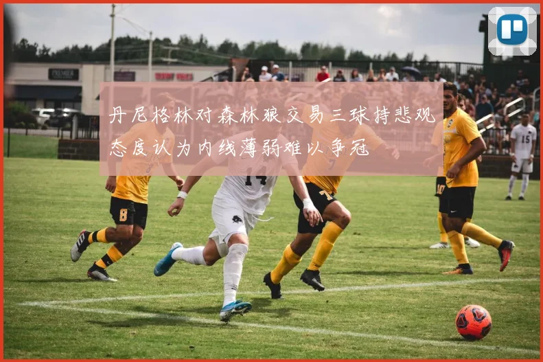 丹尼格林对森林狼交易三球持悲观态度认为内线薄弱难以争冠